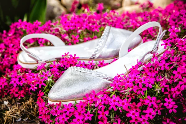 Light summer sandals female in nature, advertising shoe