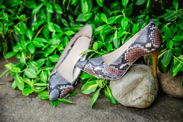 Female shoes with heels of snake skin on a rock