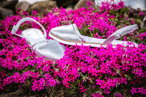 Light summer sandals female in nature, advertising shoe