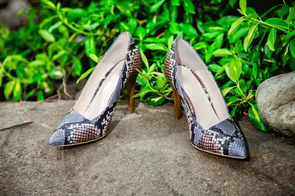 Female shoes with heels of snake skin on a rock
