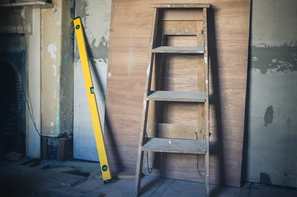 Step ladder and level
