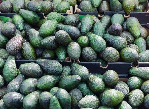 Avocados on display at market