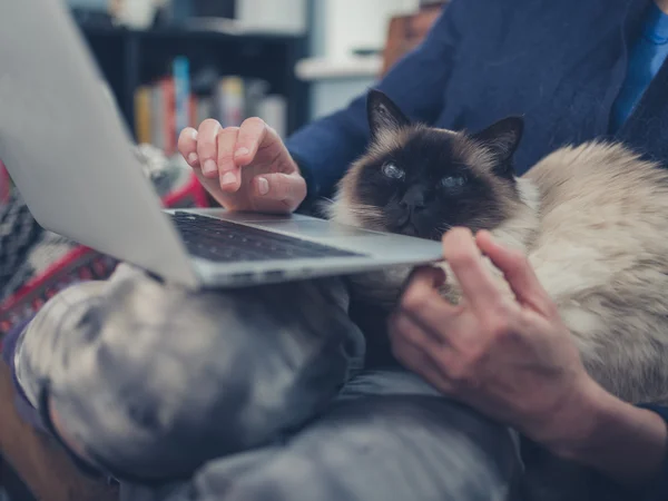 Woman with cat and laptop