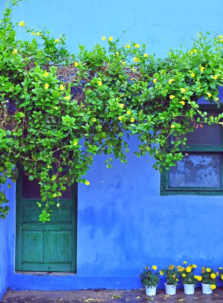 Blue house with green wooden window and door and yellow flowers