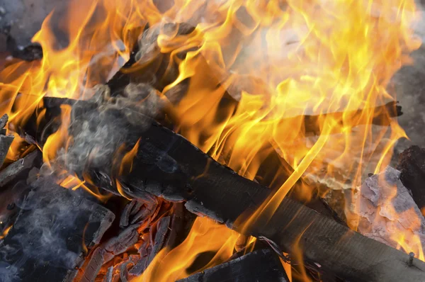 Burning wood in a campfire