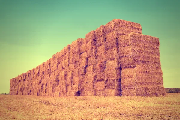 Bale pressed from straw after harvest