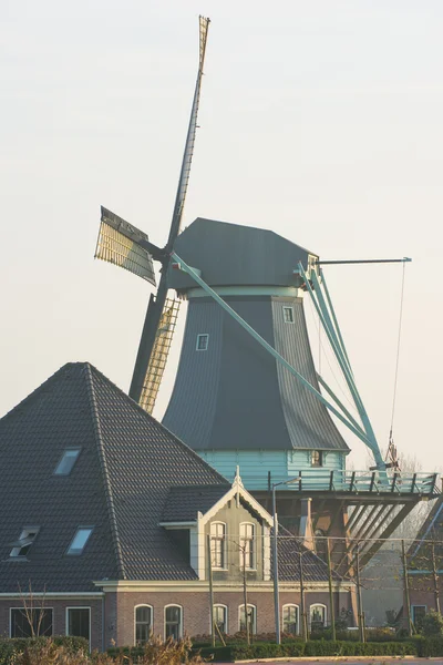 Sunset with old Dutch windmill