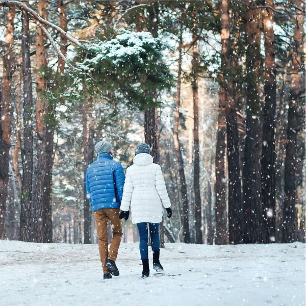 Couple in love walking in winter forest