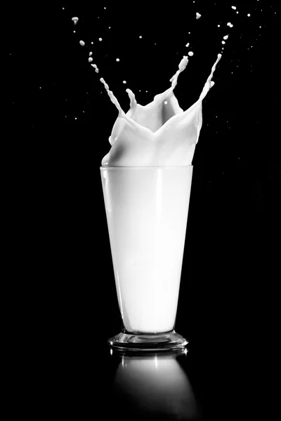 Milk splash on black background