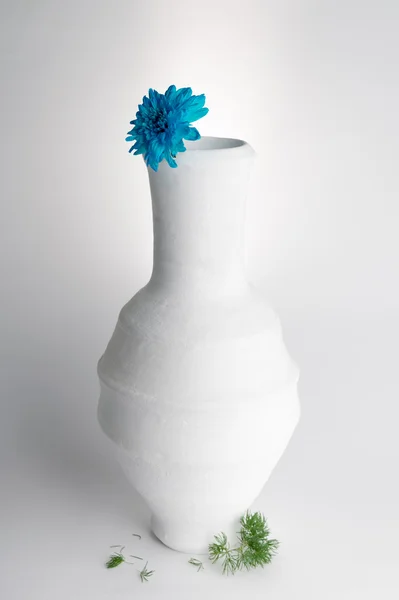 White pottery vase and blue flower on white background