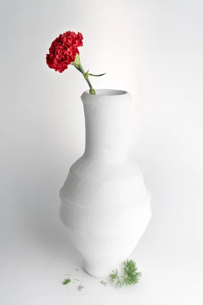 White pottery vase and red flower on white background