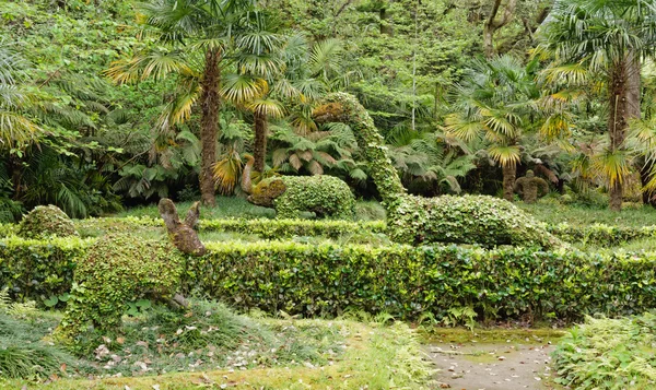 Beautiful botanic garden of Furnas