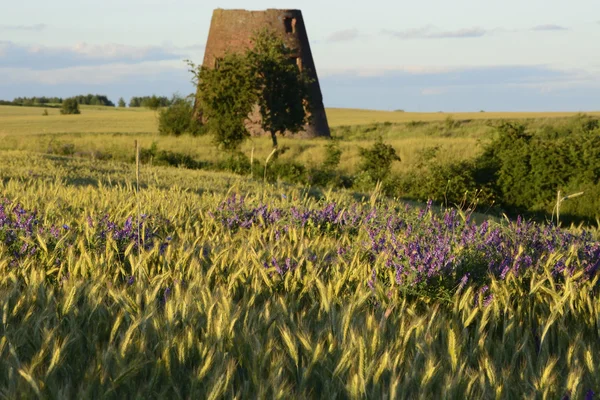 Old windmill in field