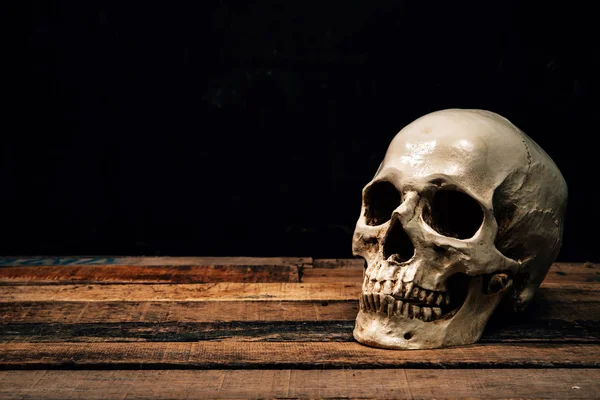 Human skull on old wood background, still-life