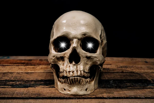 Human skull on old wood background