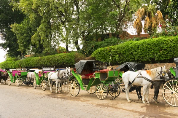 Horse drawn carriages for tourists in Jemaa el-Fnaa, Morocco