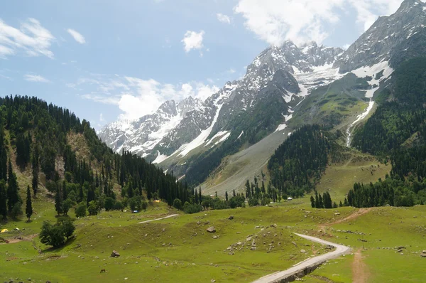 Beautiful landscpae of  hill and mountain in Sonamarg,I