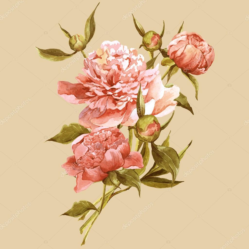 Рисунок пионы розы Рисунок пионы розы