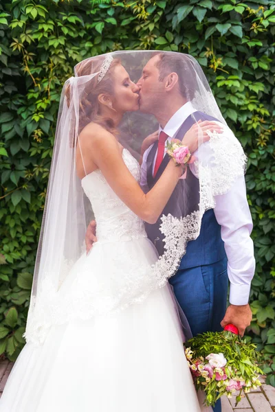Bride and groom kissing under veil near bush