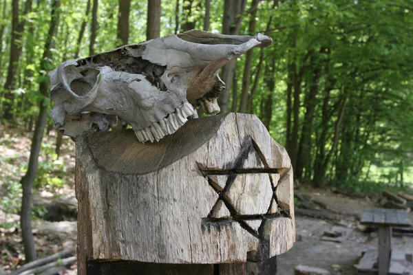 Skull on a stump with a Star of David