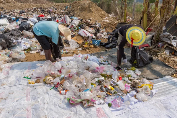 Councils officer prepare Screeners in the garbage disposal pond