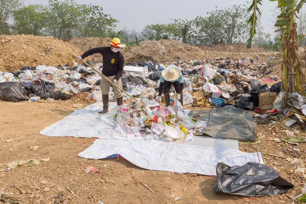 Councils officer prepare Screeners in the garbage disposal pond