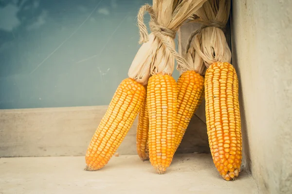 Dried corn cob on wooden rack