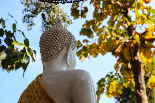 Back side of white buddha statue