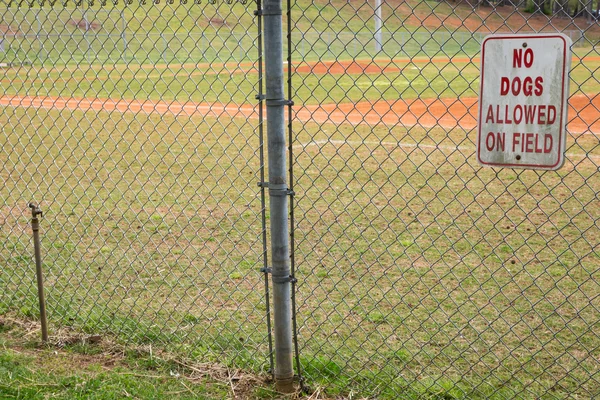 Chain link Gate