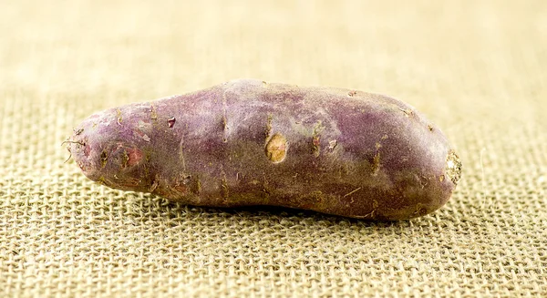 Whole raw purple sweet potato