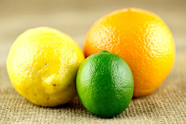Group of colorful bright citrus fruits with orange, lime and lem