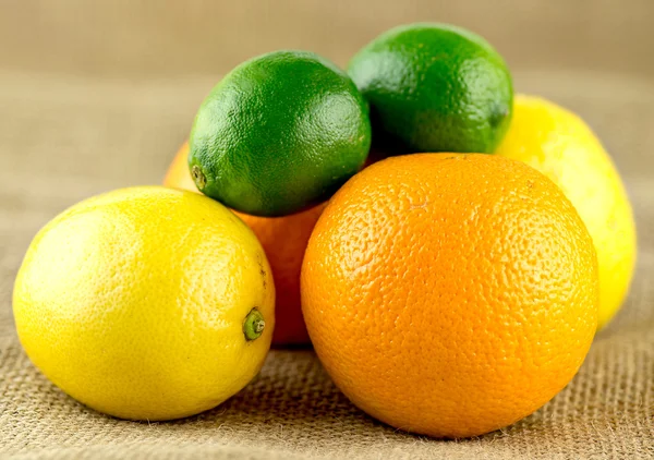 Pile of juicy citrus fruits with limes, lemons and oranges