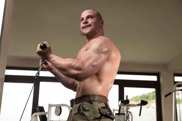 Man In The Gym Exercising Biceps On Machine