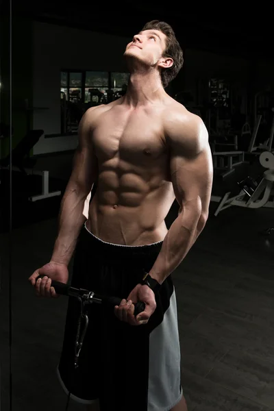 Powerful Muscular Man Exercising Biceps On Cable Machine