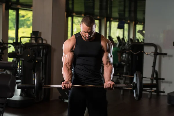 Big Man Exercise Biceps With Barbell