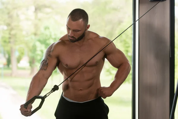 Triceps Workout With Cables