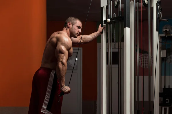 Young Male Doing Triceps Exercises In The Gym