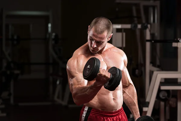 Bodybuilder Exercising Biceps With Dumbbells