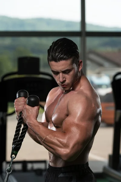 Bodybuilder Doing Exercise For Biceps