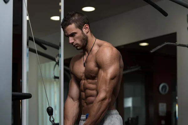 Young Male Doing Triceps Exercises In The Gym