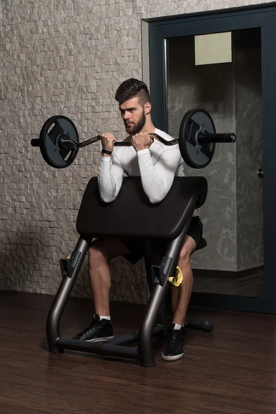 Handsome Man Doing Biceps Exercises In The Gym