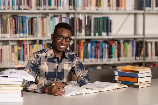 Young Student Studying At College