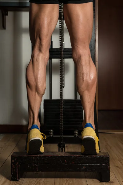 Sporty Legs Calf