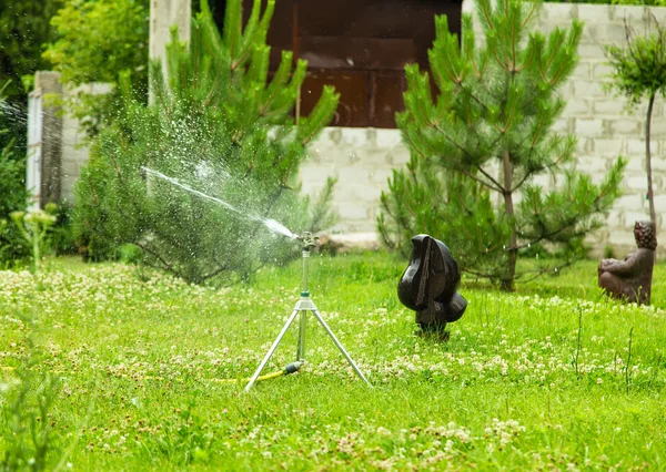 Working garden sprinkler.