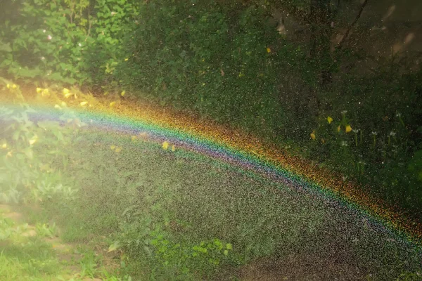 Rainbow and water drops