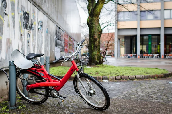 City bike for rent