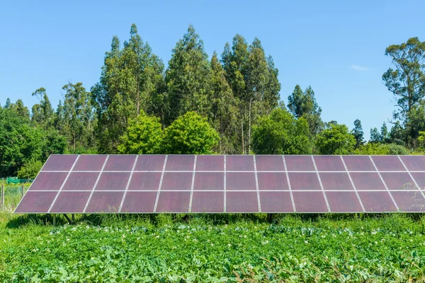 Image of solar panels