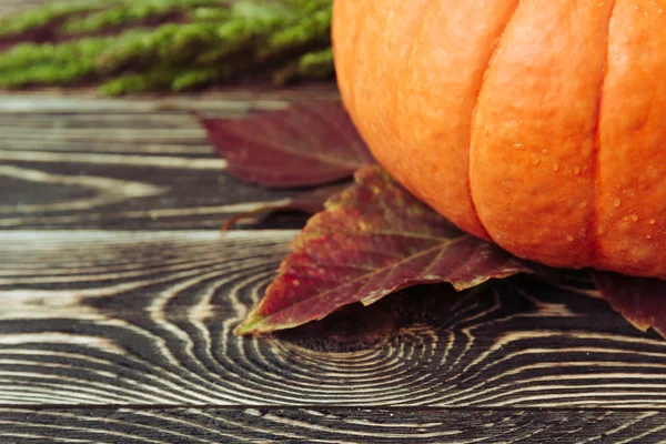 Autumn Leaves and Pumpkin against Aged Wood, Grass, Apples