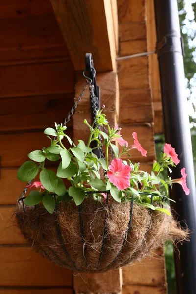 Wicker hung flower basket close up photo