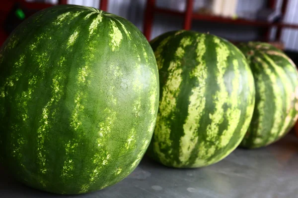 Water melons on market place close up photo
